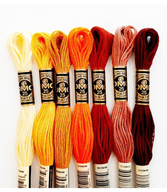Hilo Mouliné® Special DMC