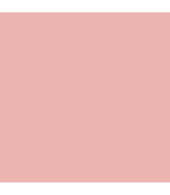 
                                                                                            Jersey Solid Colors Make-up Pink
                                                                                    
