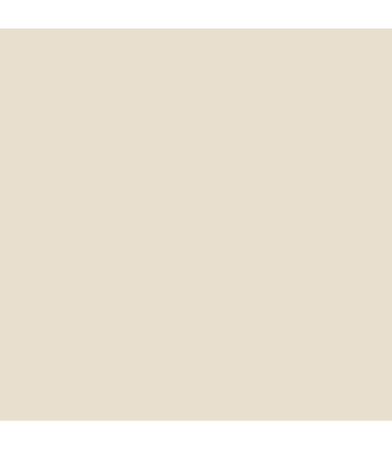 
                                                                                            Jersey Solid Colors Sand
                                                                                    
