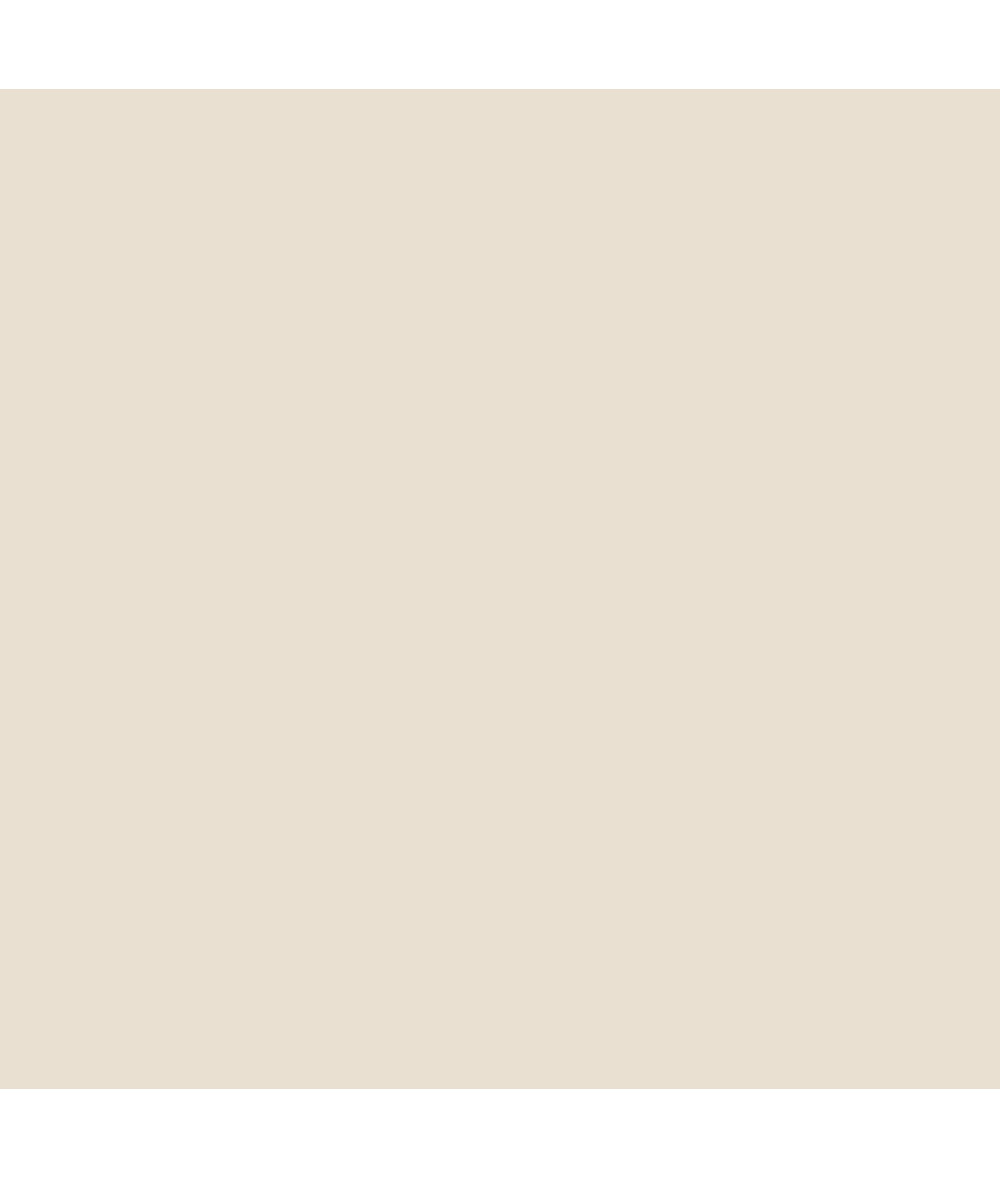 Jersey Solid Colors Sand