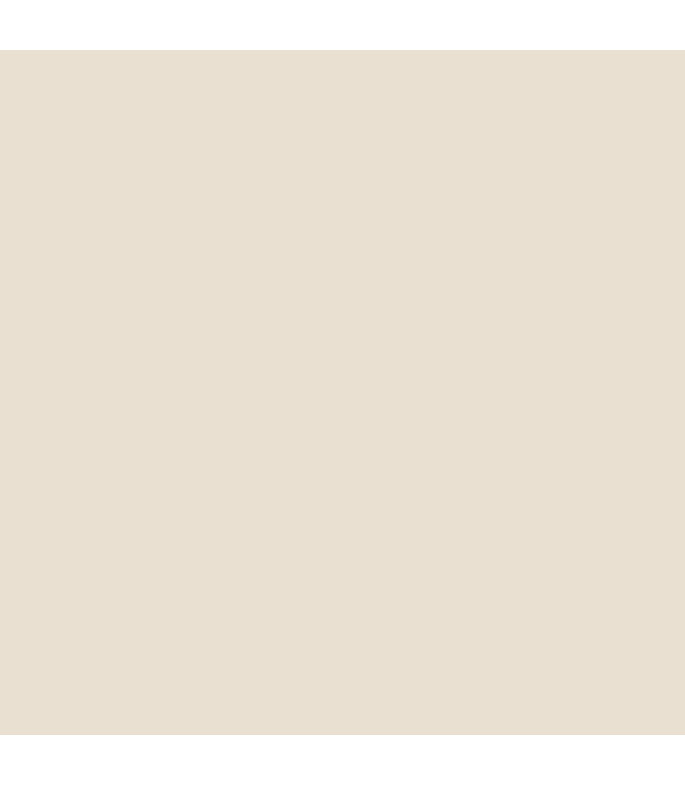 Jersey Solid Colors Sand
