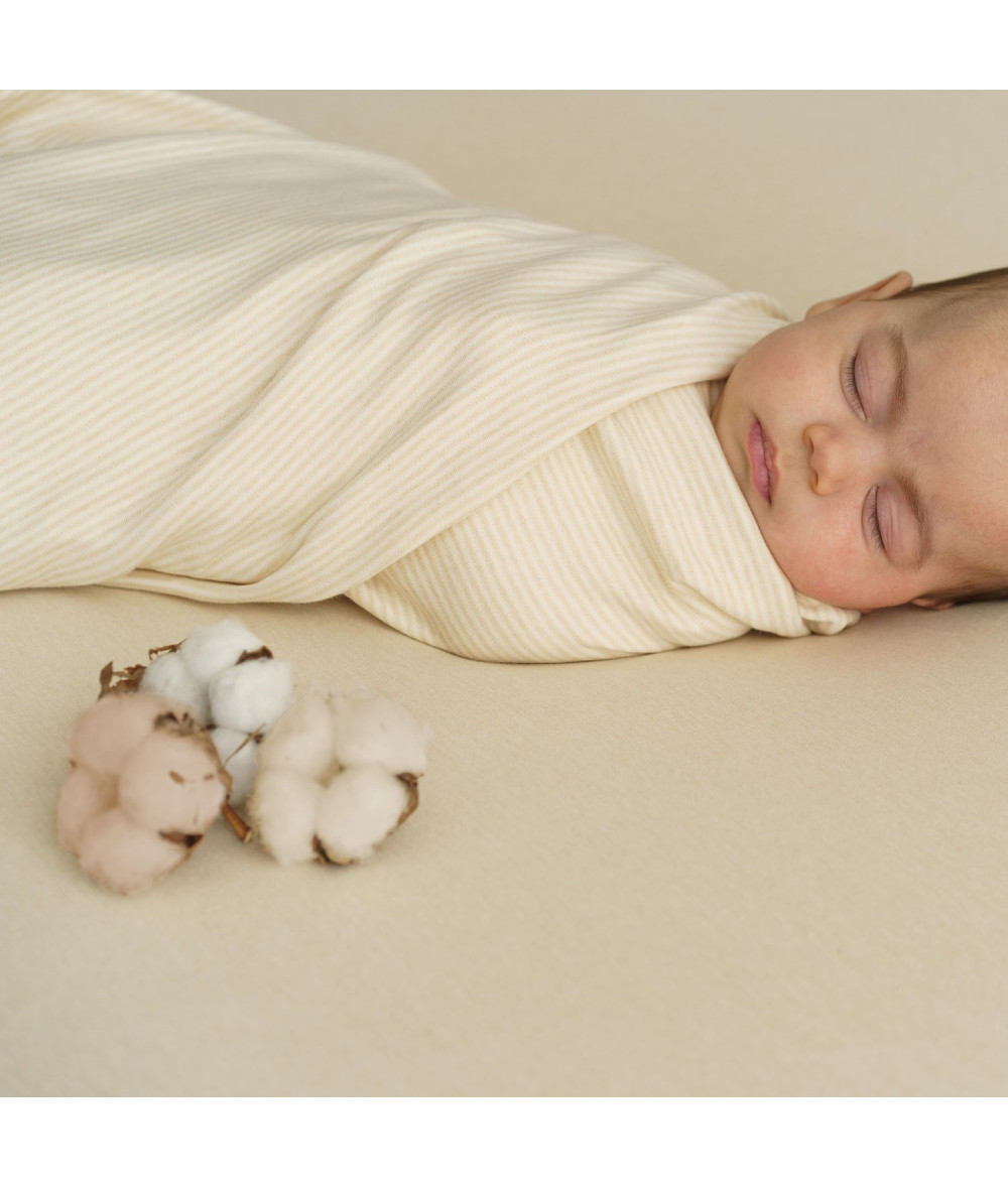 Purest Cotton Knit Stripes Ecru Brown