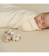 Purest Cotton Knit Stripes Ecru Brown