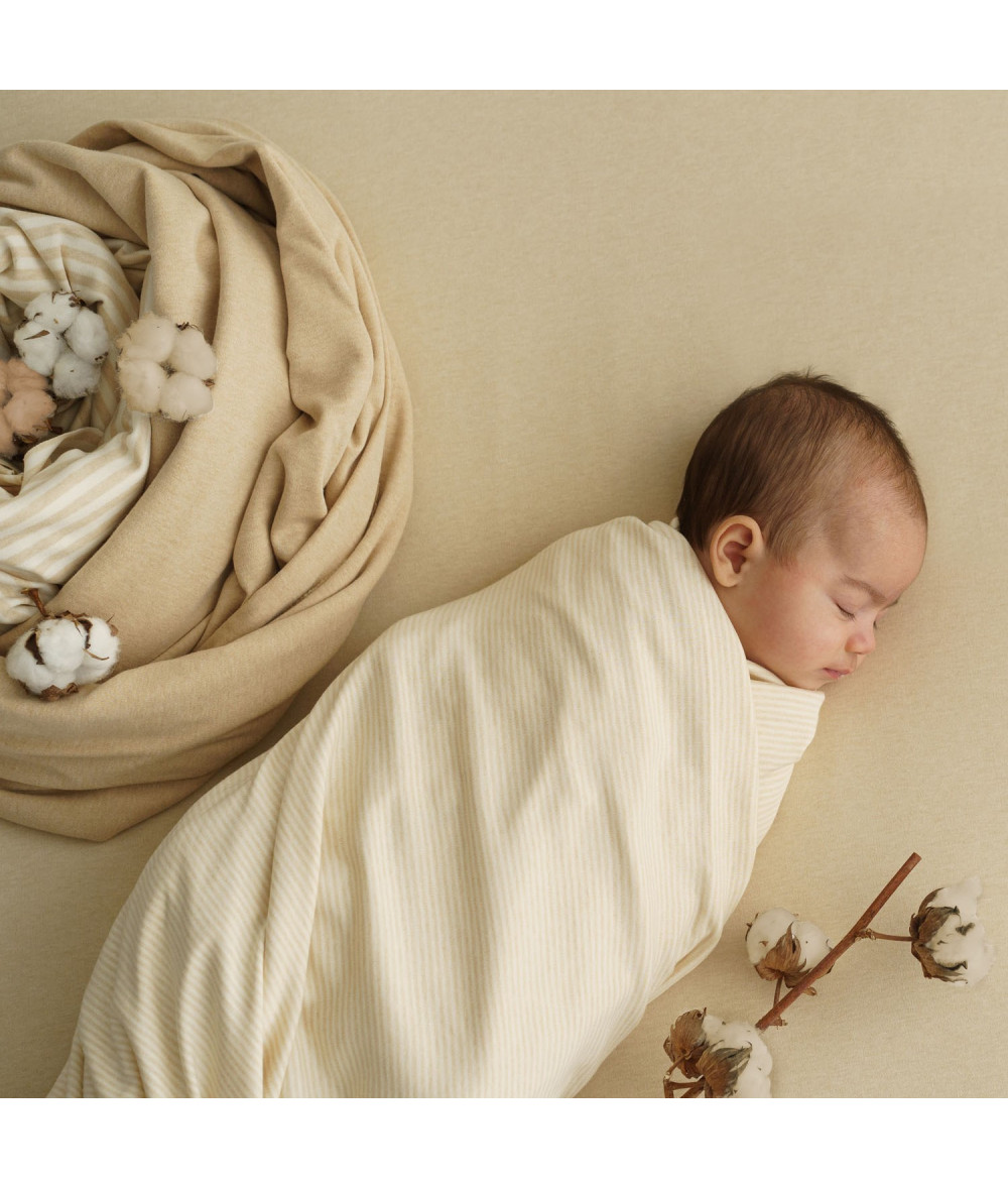 Purest Cotton Knit Stripes Ecru Brown