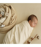 Purest Cotton Knit Stripes Ecru Brown