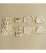 Purest Cotton Knit Big Stripes