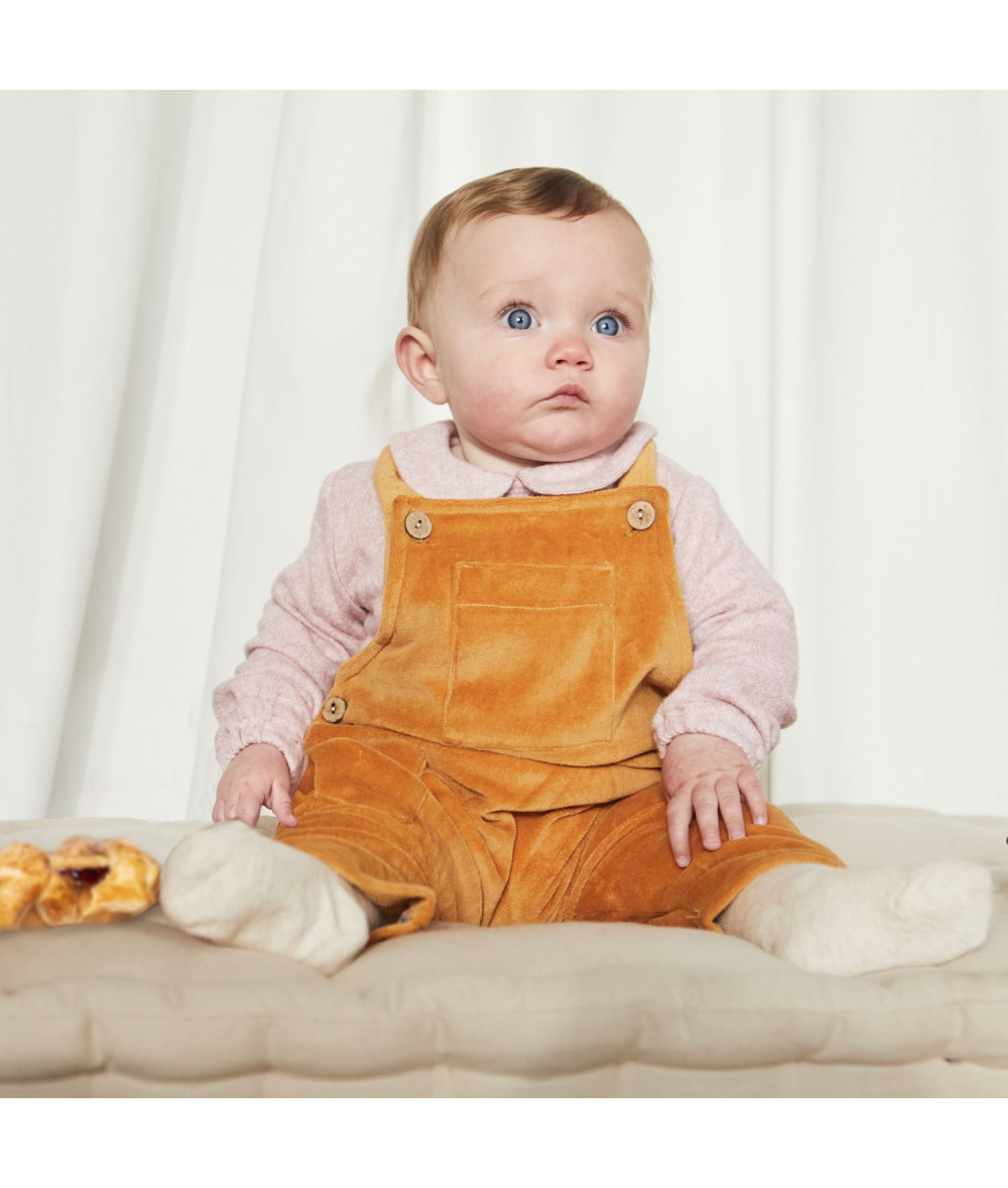 Tela Knit Velvet Cotton