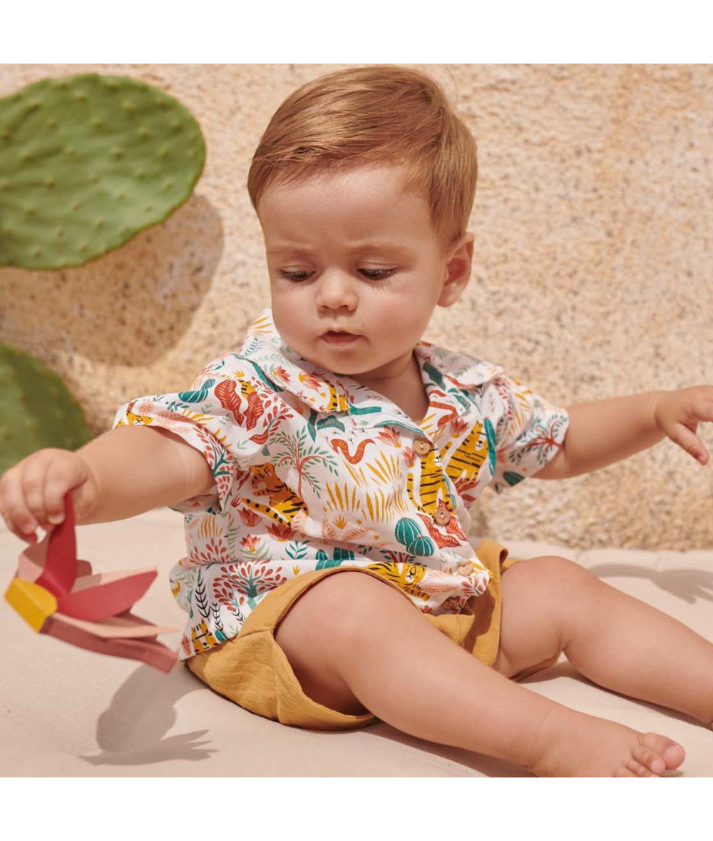 Revista Mediterranean