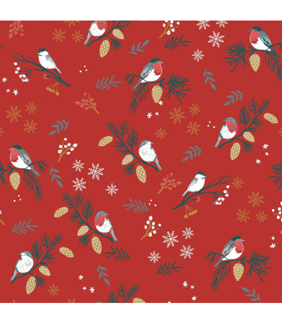 
                                                                                            Tela Jersey Xmas Birds Time
                                                                                    