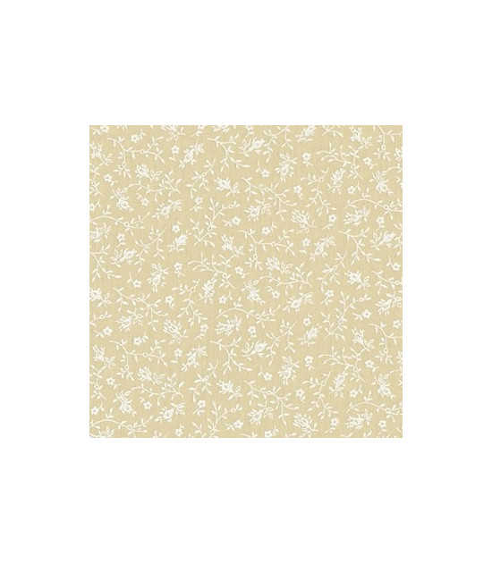 
                                                                                            Tela para Traseras Beige
                                                                                    