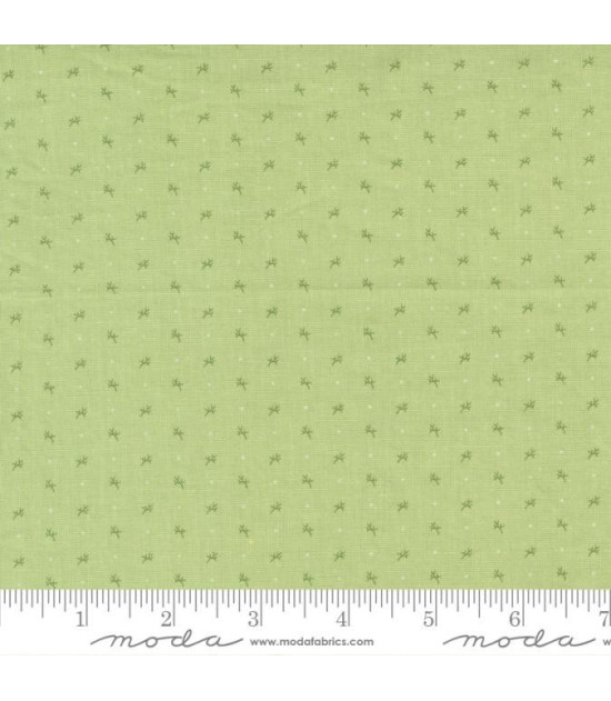 
                                                                                            Tela Moda Fabric Dinah´s Delight 31678-17
                                                                                    