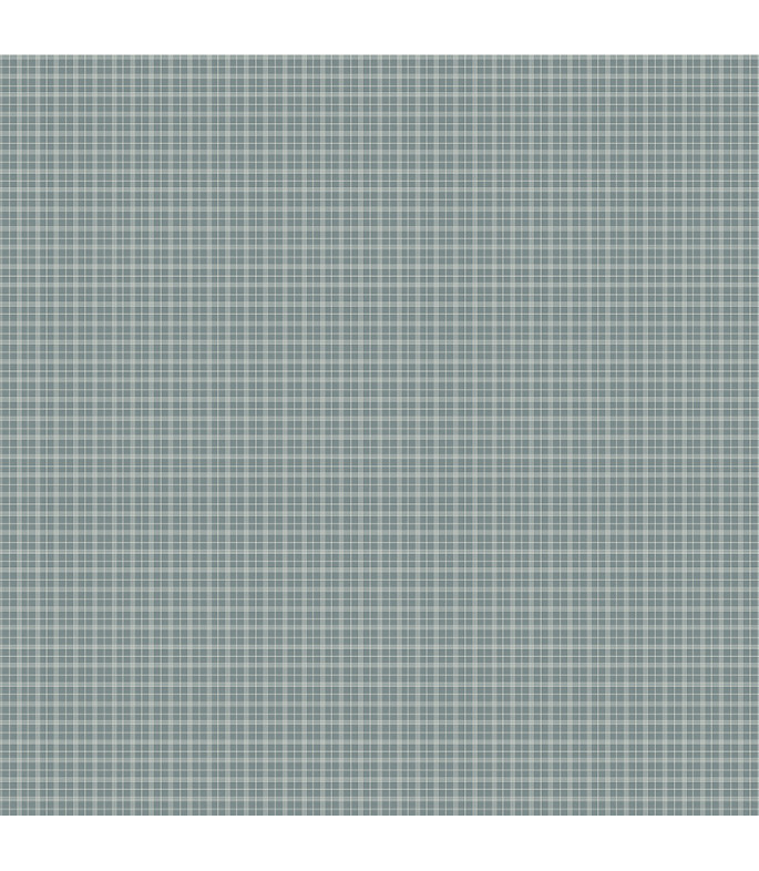 Tela colección Petite Jeanne Sweet Plaid Denim Cotton