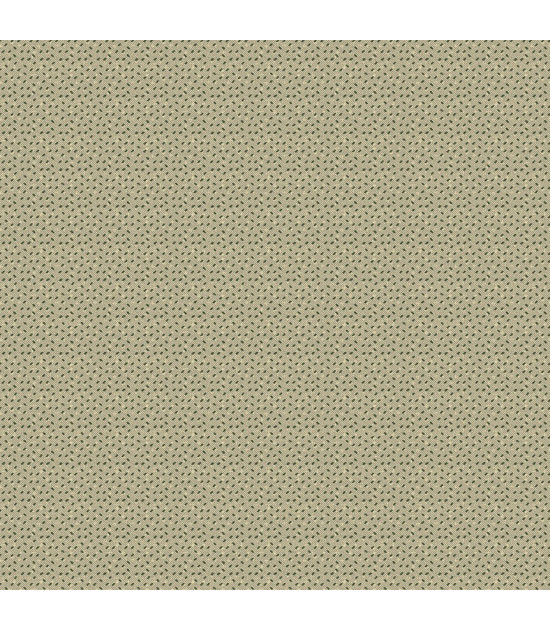 
                                                                                            Tela Colección Garden Oat Bran Ditsy Dash
                                                                                    