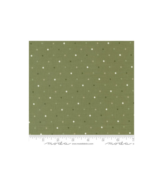 
                                                                                            Tela Dot Magic Fern
                                                                                    