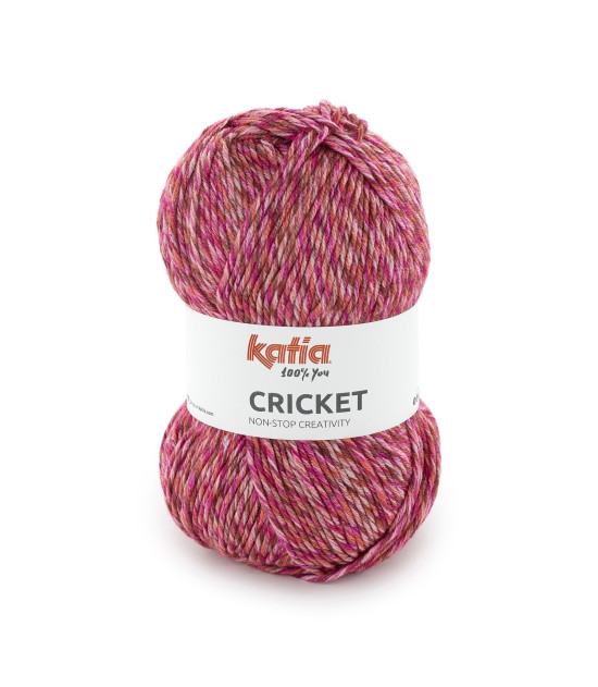 
                                                                                            Cricket
                                                                                    