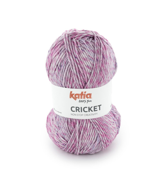 Cricket
