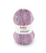 Cricket