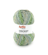 Cricket