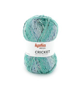 Cricket